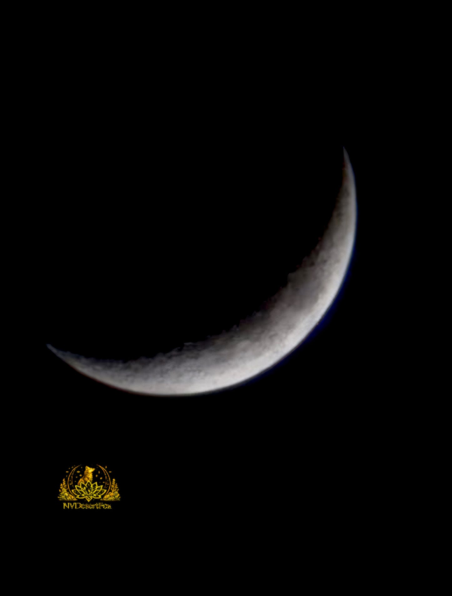 Crescent Moon