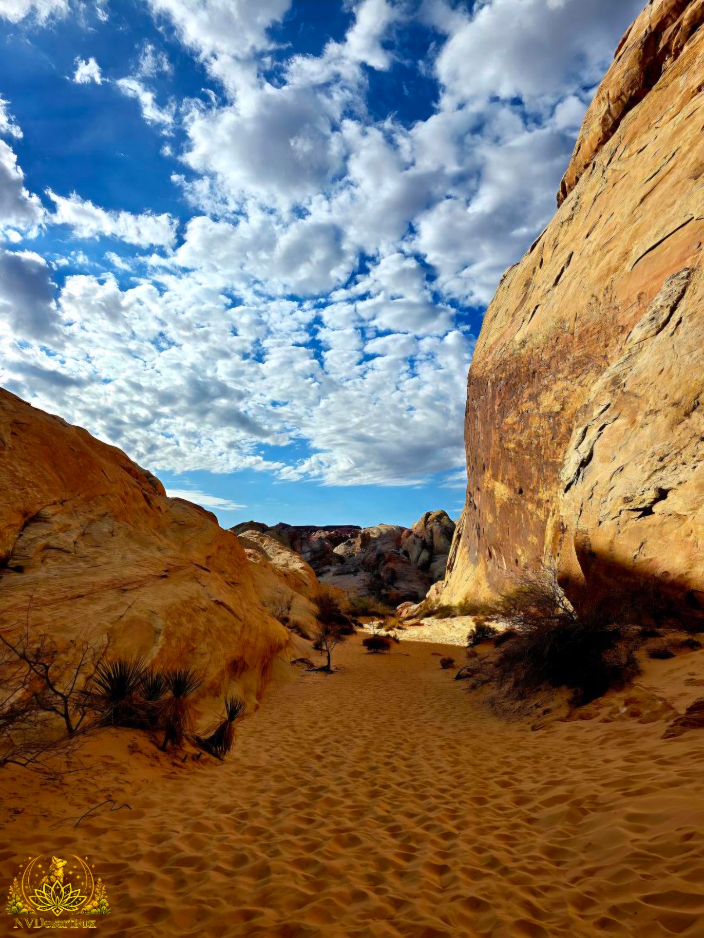 Valley of Fire - White Domes Trail