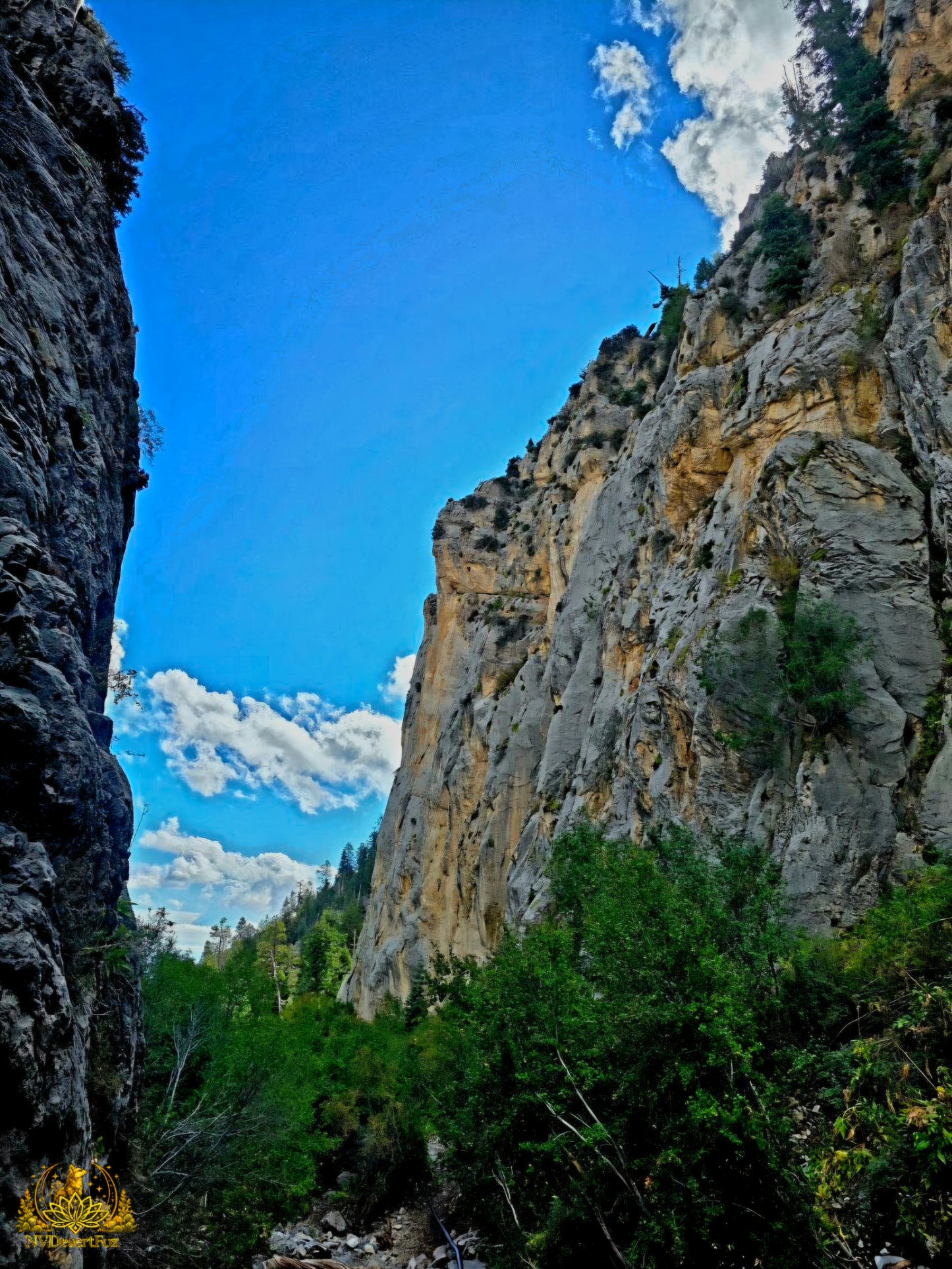 MT Charleston-Fletcher Canyon TH